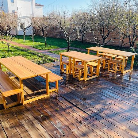 Biolocalia House Dobrogea Apartment Balotesti Ngoại thất bức ảnh