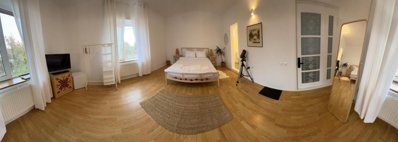 Biolocalia House Dobrogea Apartment Balotesti Ngoại thất bức ảnh