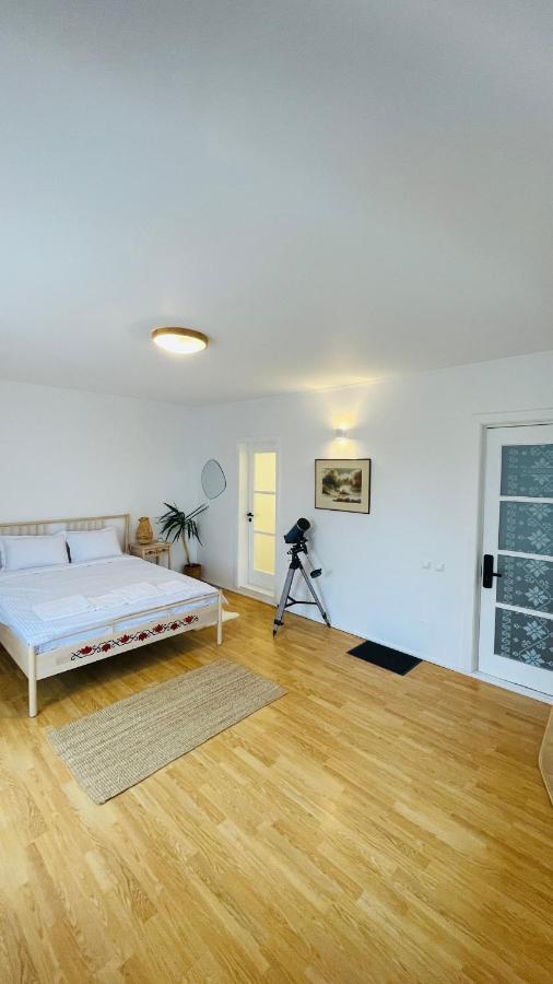 Biolocalia House Dobrogea Apartment Balotesti Ngoại thất bức ảnh