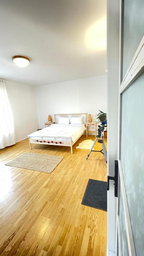 Biolocalia House Dobrogea Apartment Balotesti Ngoại thất bức ảnh